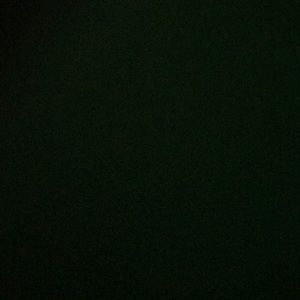 Meet your Posher, Tanaisha